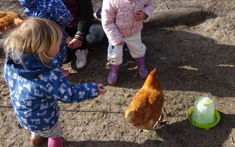 Huhn